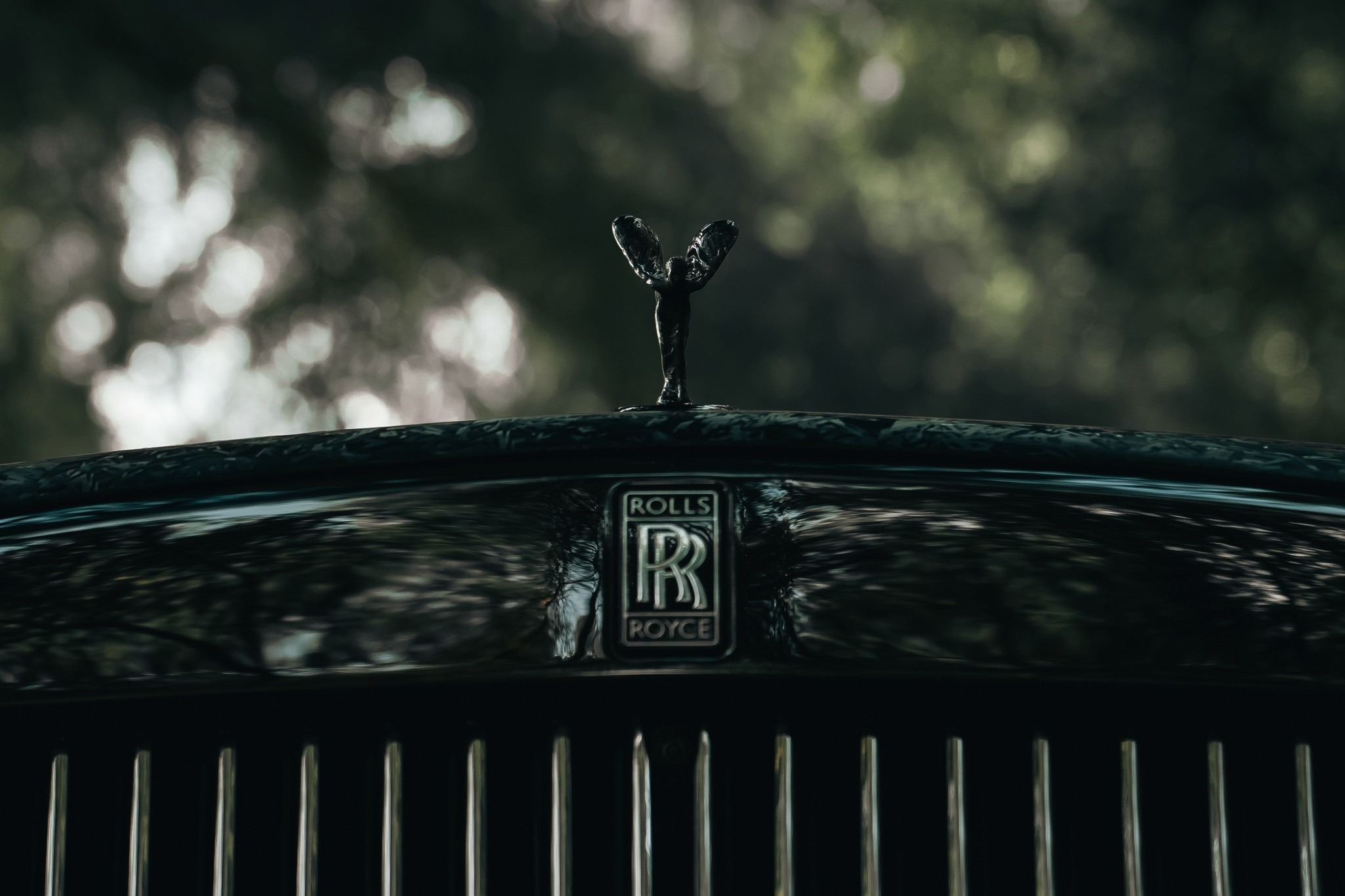 The Ultimate Ride: Renting Luxury Cars For Special Occasions